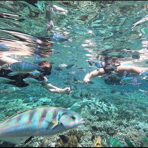 Meet your Posher, Jenifer